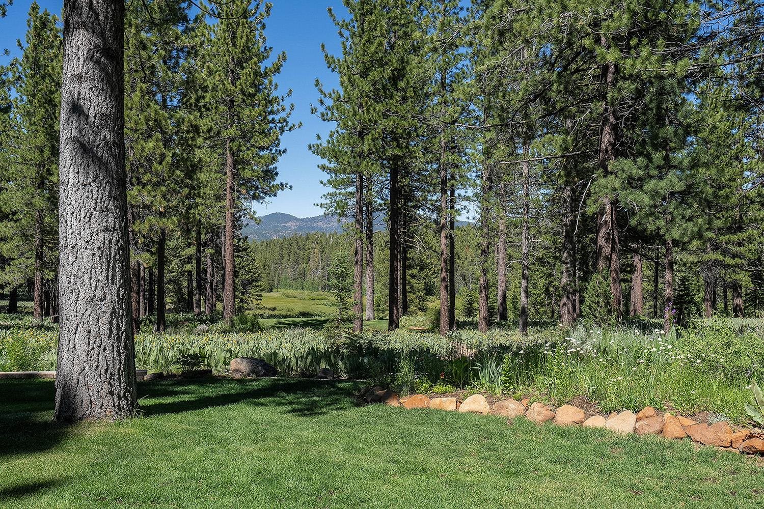 320 Independence Lake Road, Sierraville, New Mexico image 22