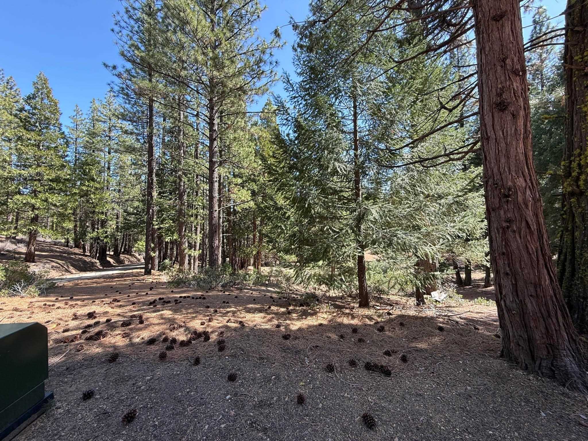 1840 Mourning Dove Lane, Clio, California image 48