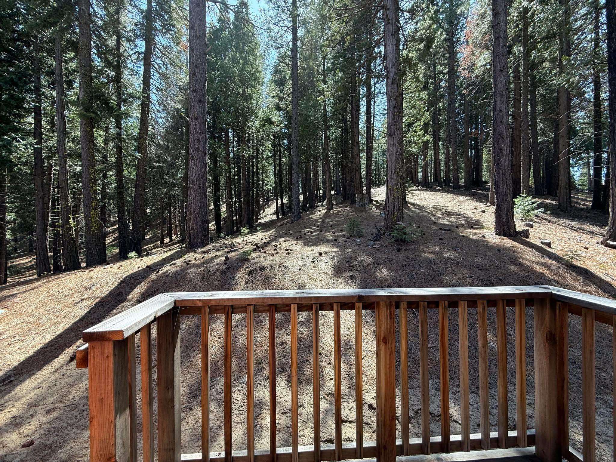1840 Mourning Dove Lane, Clio, California image 33