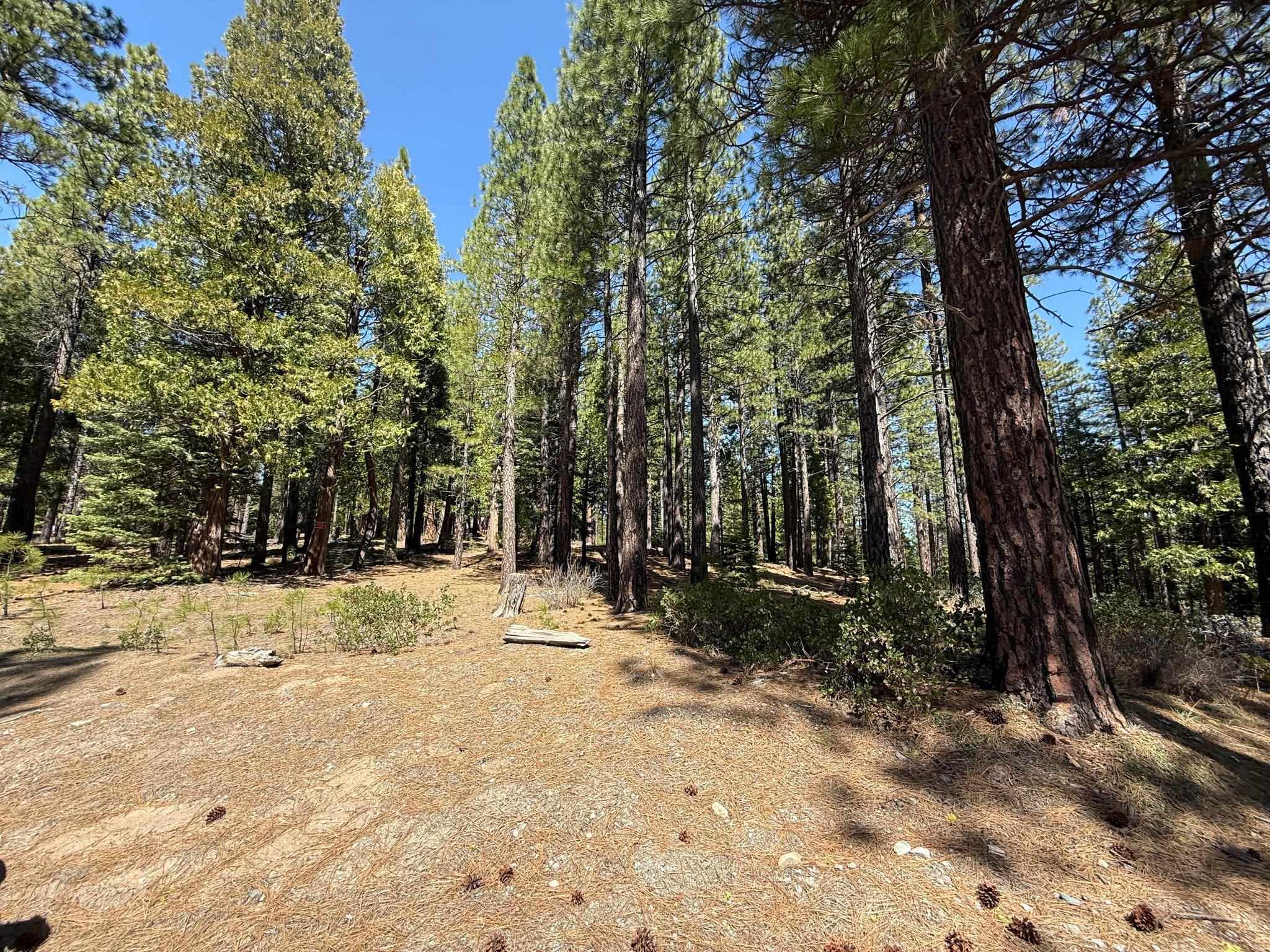 1840 Mourning Dove Lane, Clio, California image 49