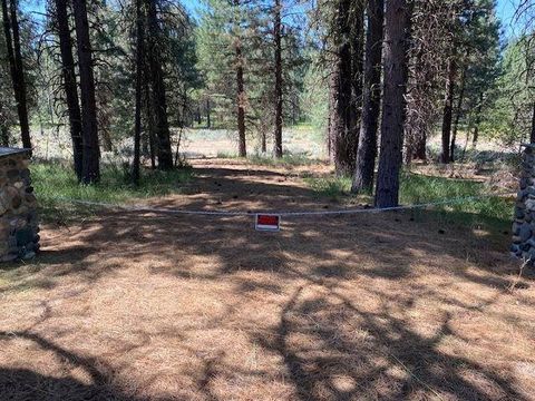 Vacant Land For Sale - 1116 Little Bear Road Rd<br/> Blairsden, CA 96103