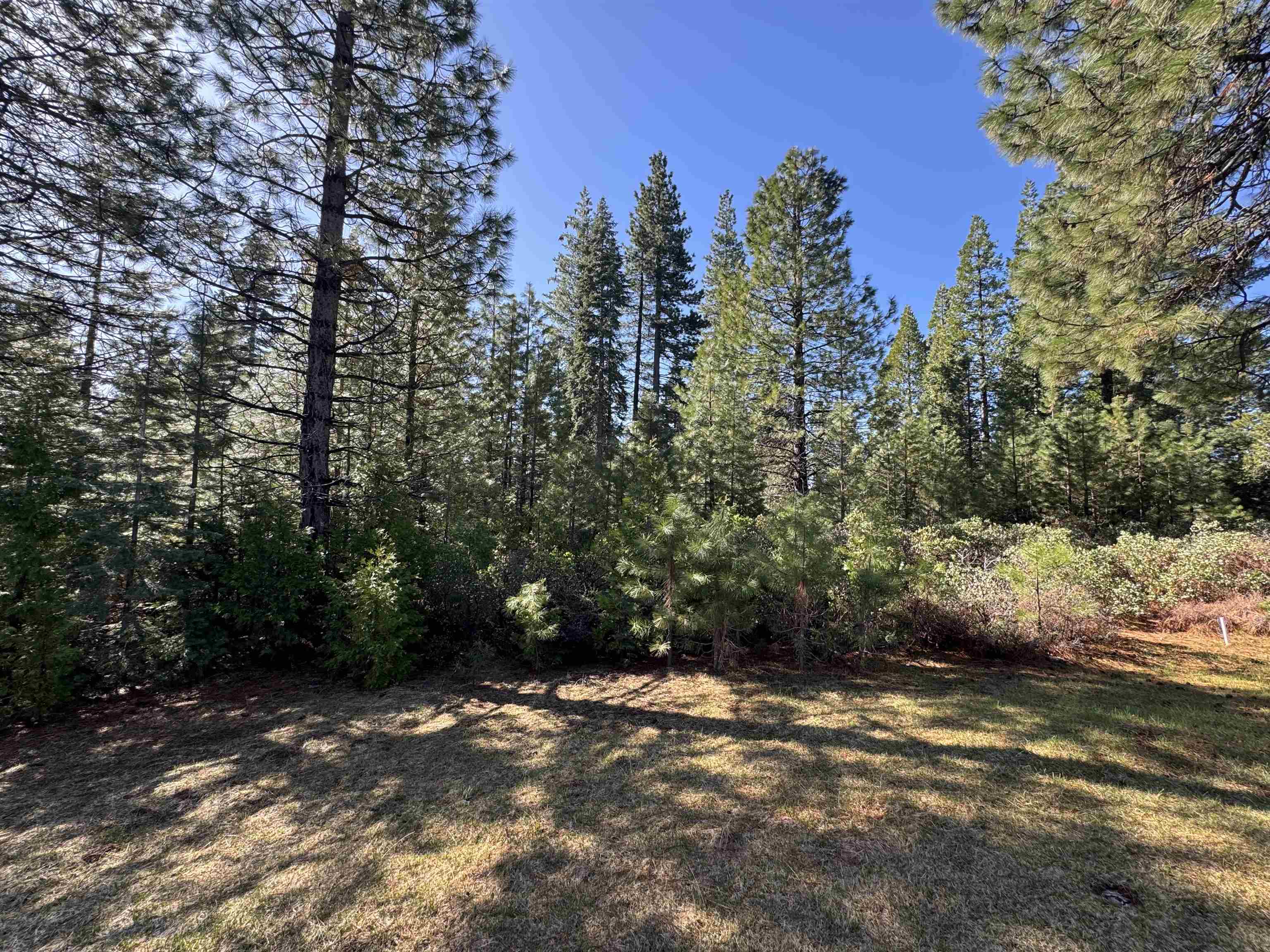 163 N Red River Drive, Lake Almanor, New Mexico image 4