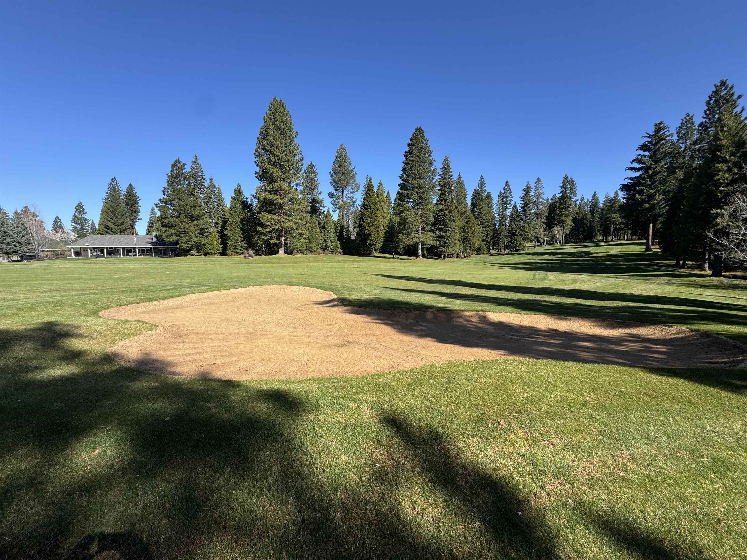 163 N Red River Drive, Lake Almanor, New Mexico image 2
