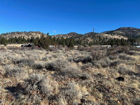 Vacant Land For Sale - 155 Smithneck Road<br/> Loyalton, CA 96118