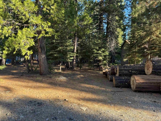 303 RACOON TRL # 4, CHESTER, CA 96020 - Image fc3f719a195f6dbbad003bd15bbb4e81/2563349288