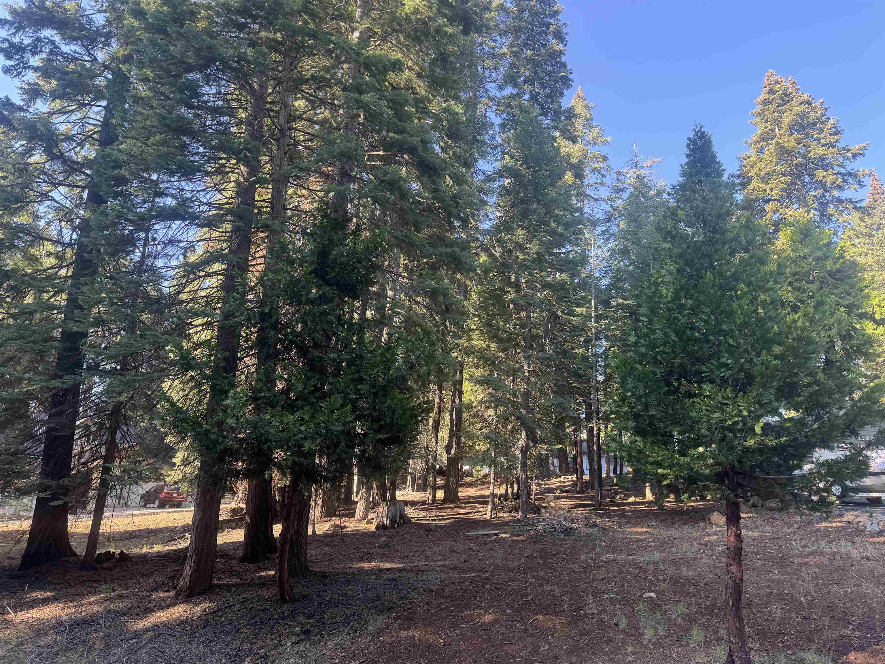 Lake Almanor, California 96137, United States, ,Land,Active,210073