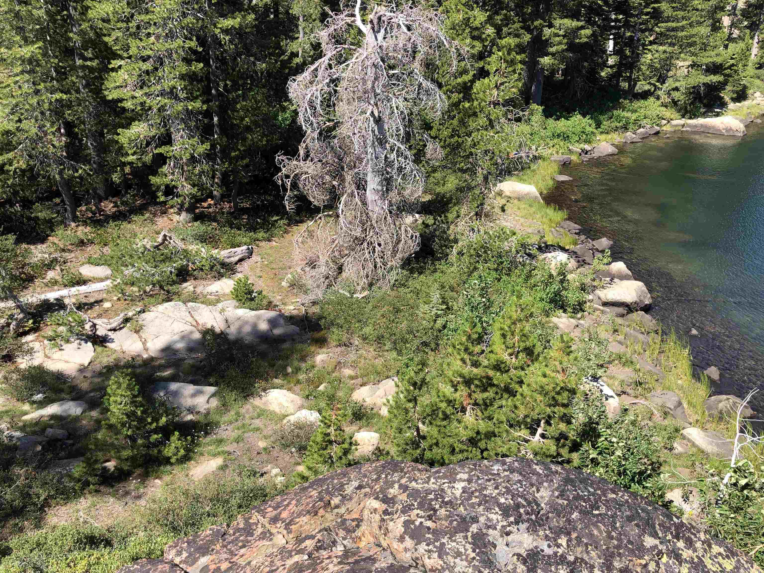 008-070-011 Sierra Buttes Road, Sierra City, California image 7