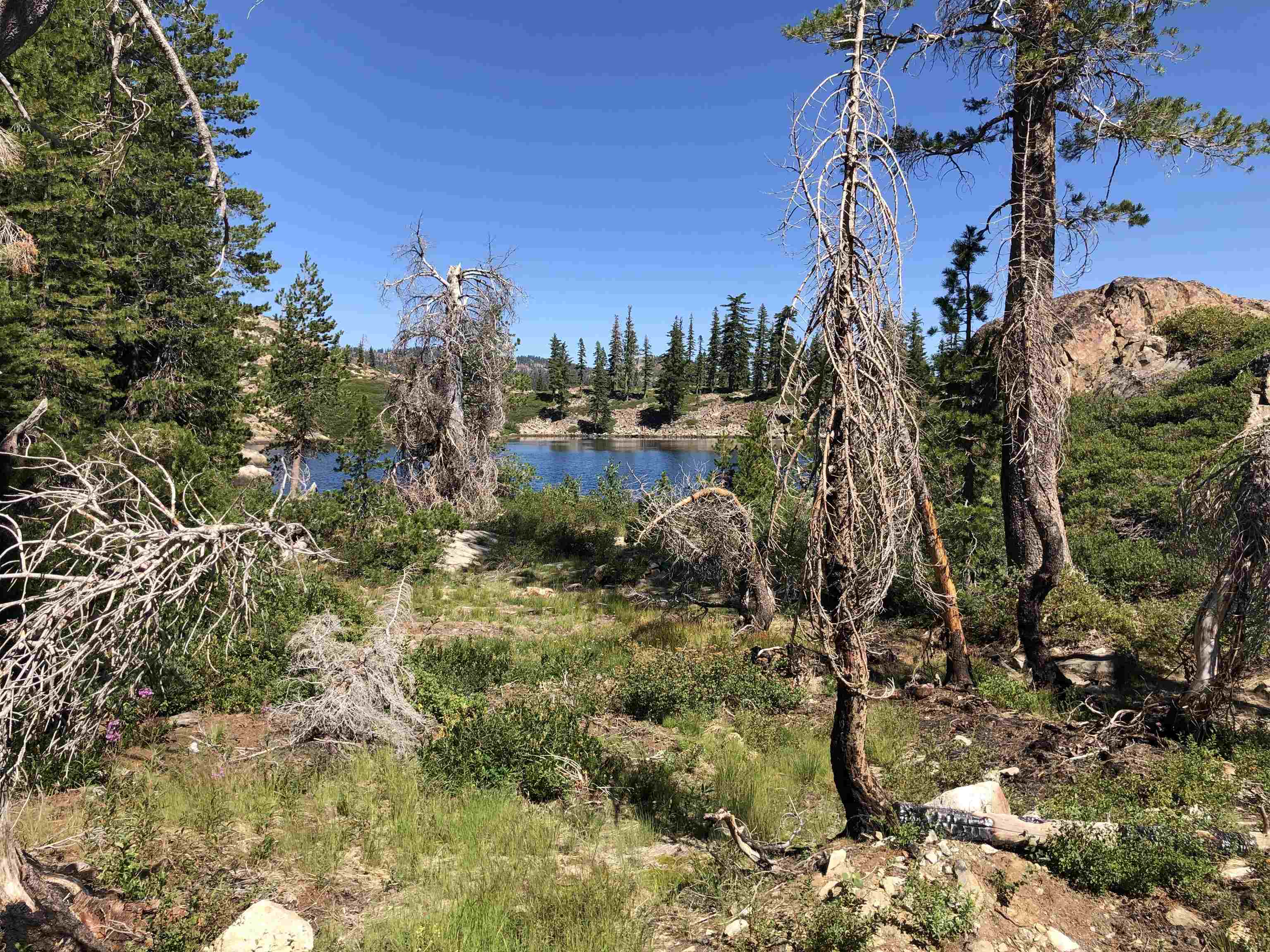 008-070-011 Sierra Buttes Road, Sierra City, California image 5