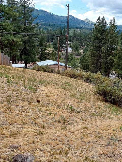 Homes For Sale - 358 E Quincy Avenue<br/> Portola, CA 96122