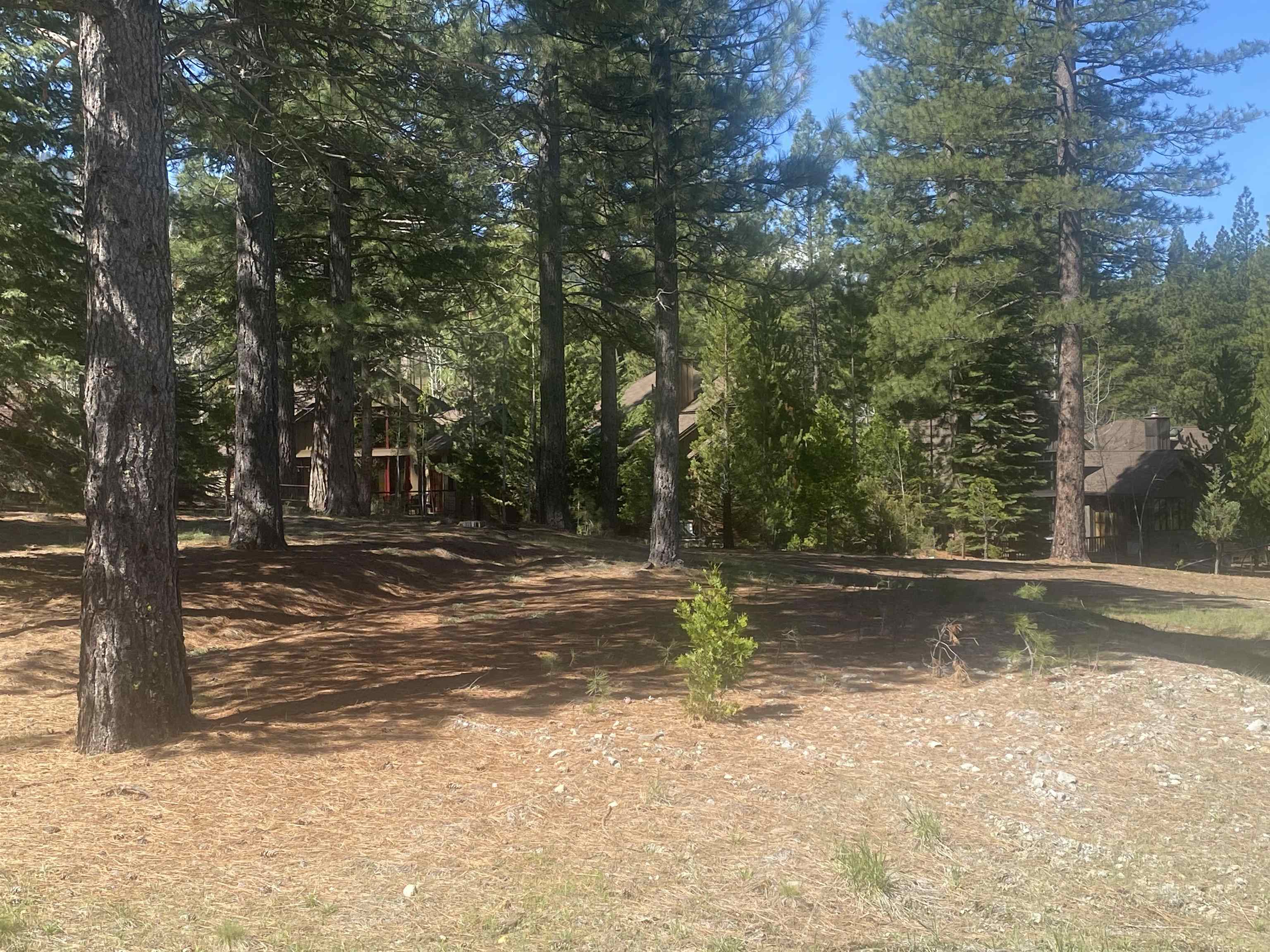 104 Forest Heights, Clio, California image 1