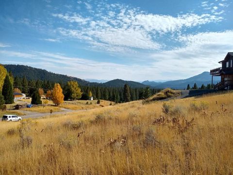 Vacant Land For Sale - 3484 Grizzly Road<br/> Portola, CA 96122
