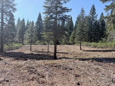 Vacant Land For Sale - 108 Fox Peak Drive Dr #FG<br/> Plumas County, Lake Almanor, CA 96137
