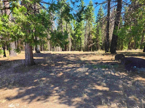 Vacant Land For Sale - 135 Goose Bay View Trail<br/> Lake Almanor West, CA 96020
