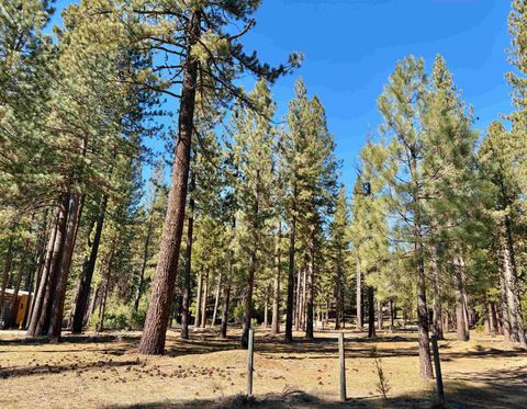 Vacant Land For Sale - 329 Clio State 40a Road<br/> Clio, CA 96106