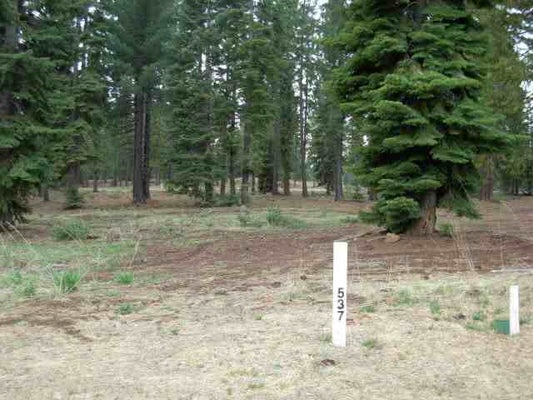 36 WINTERWOOD DR, WESTWOOD, CA 96137 - Image 0a896e20cfe96066a09377c4f9cd806d/521200301
