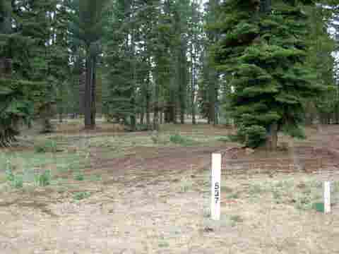 Vacant Land For Sale - 36 Winterwood Drive Dr<br/> Lake Almanor, CA 96137