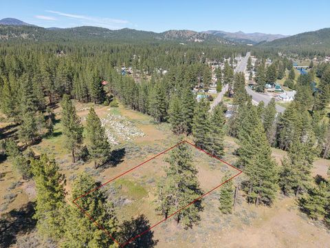 Vacant Land For Sale - 146 & 156 Cougar Way<br/> Portola, CA 96161