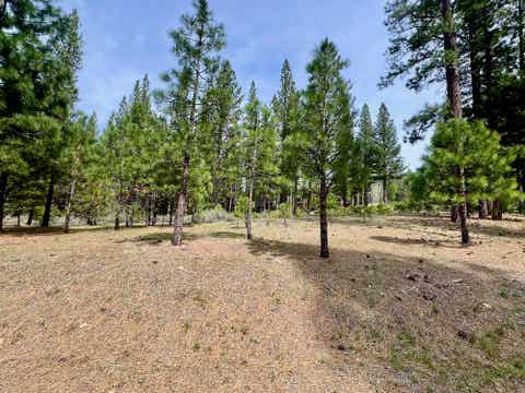 Vacant Land For Sale - 153 Saddle Ridge Road<br/> Clio, CA 96106