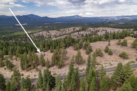 Vacant Land For Sale - 321 Eagles Nest<br/> Plumas County, Portola, CA 96161