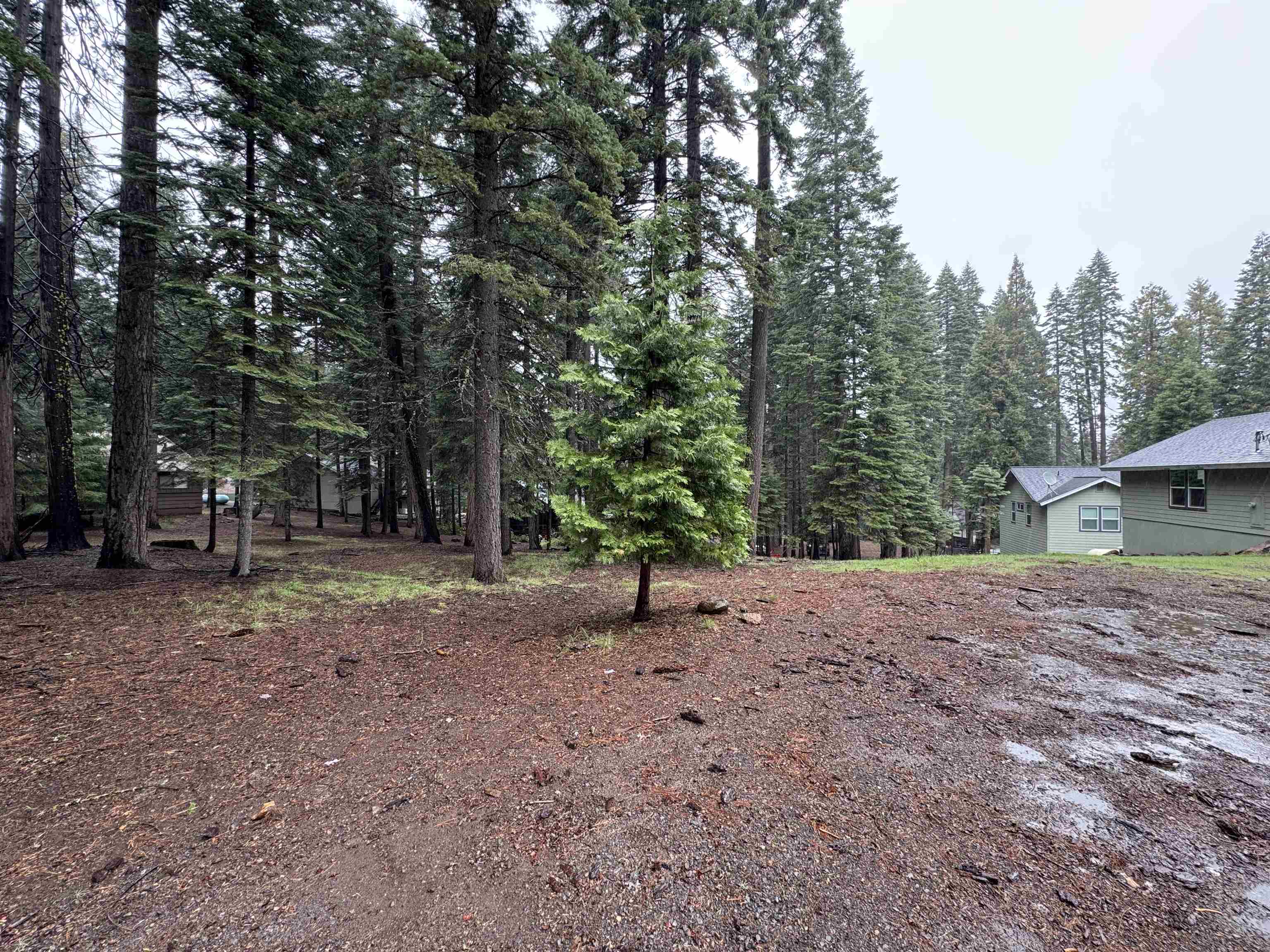 1210 White Fir Trail