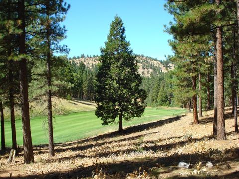 Vacant Land For Sale - 139 Bird Of Prey Lane Ln<br/> Plumas County, Portola, CA 96122