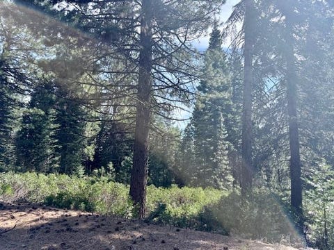 Vacant Land For Sale - 78 Fox Head Drive Dr #FR<br/> Lake Almanor, CA 96137