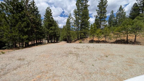 Vacant Land For Sale - 115 Cedar Ridge Road Rd<br/> Portola, CA 96122