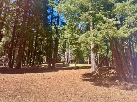 Vacant Land For Sale - 661 E Mountain Ridge Road Rd #18<br/> Lake Almanor, CA 96137