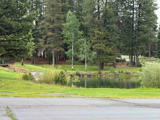 49 DURKIN DR, WESTWOOD, CA 96137 - Image 231aae855b846f3b3eba539b56b6f051/3955256804