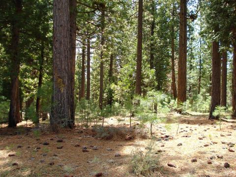 Vacant Land For Sale - 745 Blacktail Ridge<br/> Plumas County, Portola, CA 96122
