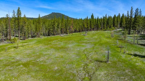 Vacant Land For Sale - PARCEL 1A Highway 70<br/> Portola, CA 96122