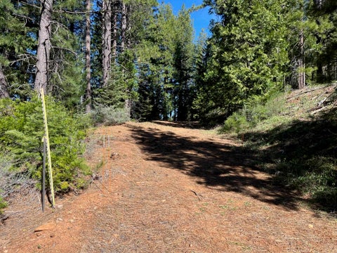 Vacant Land For Sale - 4976 Highway 147<br/> Lake Almanor, CA 96137