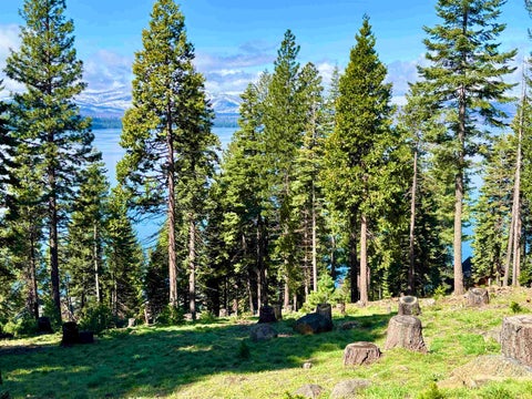 Vacant Land For Sale - 623 W Mountain Ridge Road<br/> Lake Almanor, CA 96137