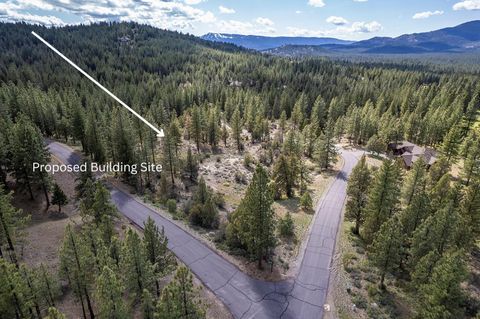 Vacant Land For Sale - 553 Great Spirit #11<br/> Plumas County, Portola, CA 96122