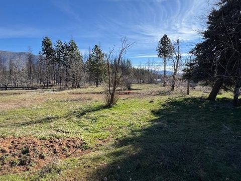 Vacant Land For Sale - 104 Williams Valley Road Rd<br/> Greenville, CA 95947