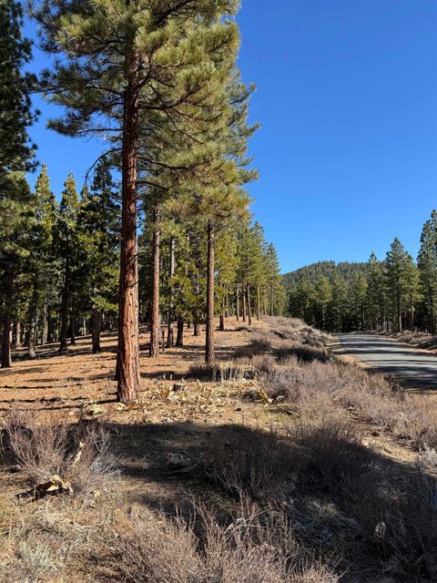 Vacant Land For Sale - 78 S Ridge Road Rd<br/> Plumas County, Portola, CA 96122