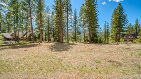 Vacant Land For Sale - 118 Saddle Ridge Road Rd<br/> Clio, CA 96106