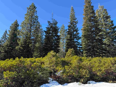 Vacant Land For Sale - 442 Dinsmore Drive Dr<br/> Lake Almanor, CA 96137