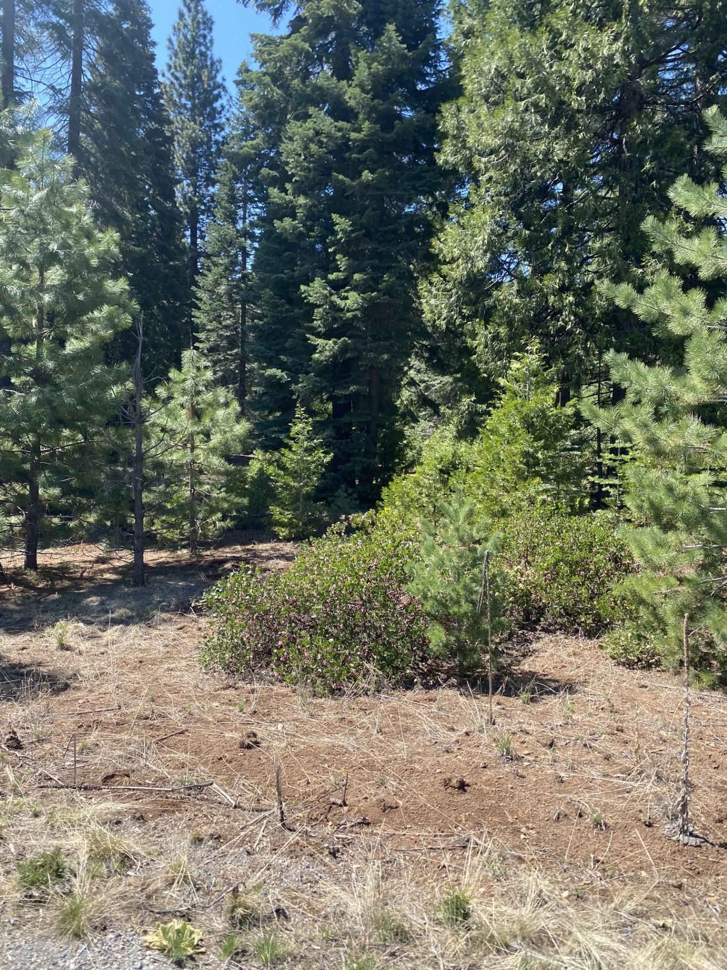 Lake Almanor, California 96137, United States, ,Land,Active,120196