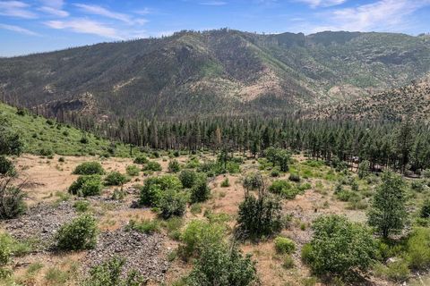 Vacant Land For Sale - 7150 Diamond Mountain Road<br/> Taylorsville, CA 95983