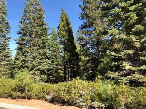 Vacant Land For Sale - 89 Fox Crest Drive Dr<br/> Plumas County, Lake Almanor, CA 96137