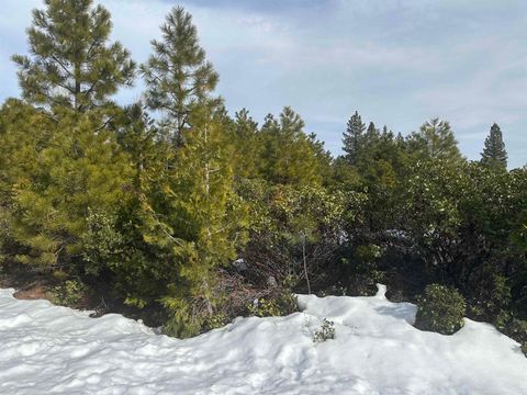 Vacant Land For Sale - 273 Walsh Court Ct<br/> Plumas County, Lake Almanor, CA 96137