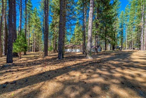 Homes For Sale - 197 Portola Mclears Road A-15 Rd<br/> Clio, CA 96106