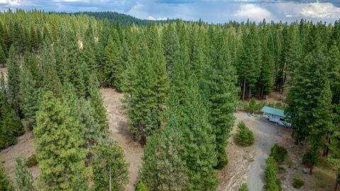 Vacant Land For Sale - 460 Cottontail Road Rd<br/> Clio, CA 96103