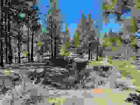Vacant Land For Sale - 427 Sunburst<br/> Portola, CA 96122