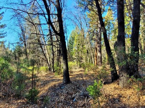 Vacant Land For Sale - 59791 Highway 70<br/> Plumas County, Blairsden, CA 96103