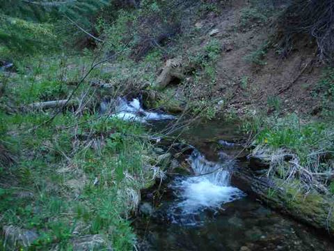 Vacant Land For Sale - 2500 Big Creek Road Rd<br/> Plumas County, Meadow Valley, CA 95656