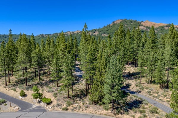 1924 GRIZZLY RANCH RD, PORTOLA, CA 96122 - Image 511e5ce7d5ba836f5fc6dc1818991023/4080106945