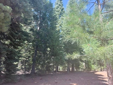 Vacant Land For Sale - 321 Calabrian Lane Ln #CW<br/> Lake Almanor, CA 96137