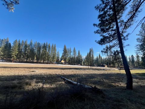 Vacant Land For Sale - 550 E Magnolia Avenue Ave<br/> Portola, CA 96103